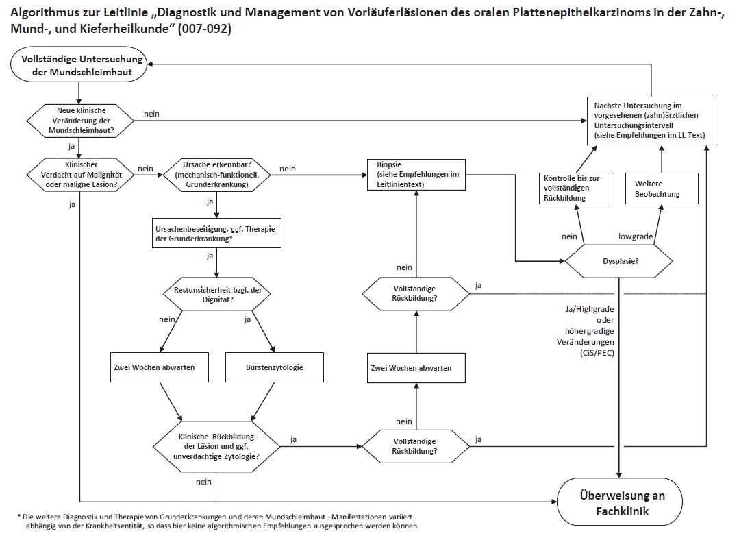 Schema Diagnostik