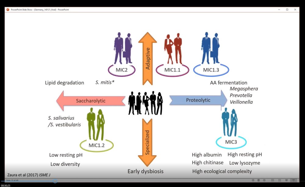 Grafik zu Mikrobiom-Grundtypen Grafik zu Mikrobiom-Grundtypen