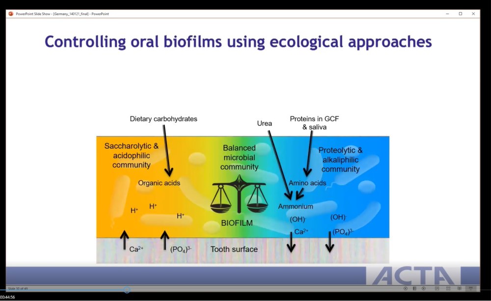 Zaura Grafik orale Biofilme Grafik orale Biofilme
