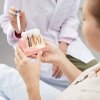 Frau hält Zahnmodell in den Händen während Zahnärztin erklärt